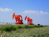 banner-01